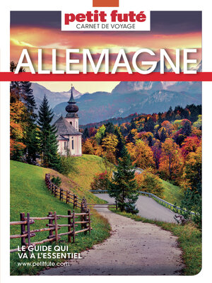 cover image of ALLEMAGNE 2023 Carnet Petit Futé